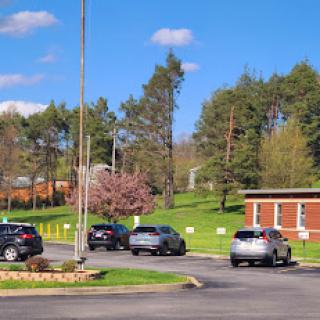 A sunny day in a parking lot surrounded by trees.