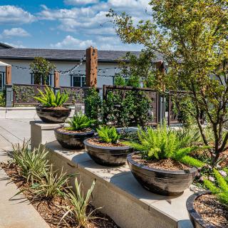 A beautifully landscaped garden with potted plants and modern architecture.