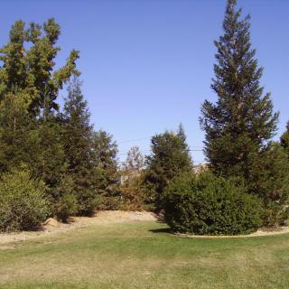 A scenic view of a grassy area surrounded by various trees under a clear blue sky.