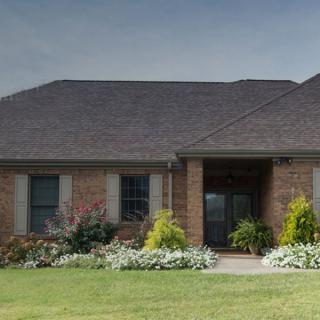 A suburban brick house with a well-maintained front yard and garden.