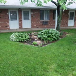 A well-maintained garden with lush green grass and a landscaped plant bed in front of a brick building.