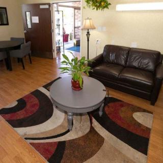 A cozy living room with a brown sofa, round coffee table, decorative rug, and indoor plant.