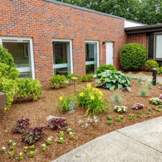 A neatly landscaped garden with flowers and bushes in front of a brick building with windows.