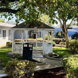 A charming gazebo surrounded by a lush garden under the sunlight.
