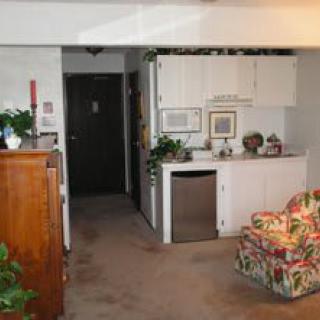 A compact living area with a kitchenette, featuring floral-patterned furniture and decorative plants.