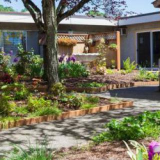 A beautifully landscaped garden with colorful flowers and a central tree, adjacent to a modern patio area.
