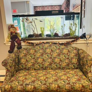 A cozy seating area featuring a floral patterned couch and a vibrant aquarium in the background.
