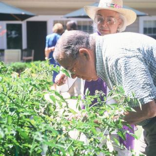 Two individuals engaged in gardening activities outside on a sunny day.