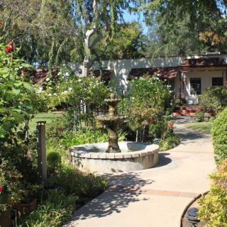 A serene garden pathway with a central fountain surrounded by lush greenery.
