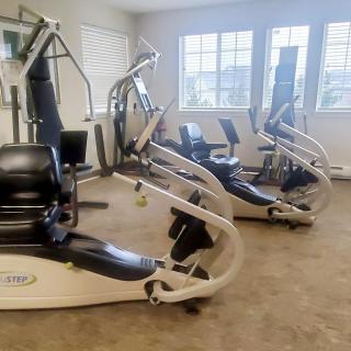 A well-equipped gym with various exercise machines in a bright, spacious room.