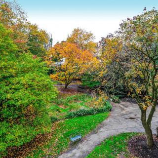 A tranquil park scene in autumn, featuring colorful foliage and winding pathways.
