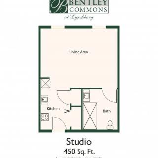 Studio apartment floor plan with a total area of 450 square feet featuring a living area, kitchen, and bathroom.