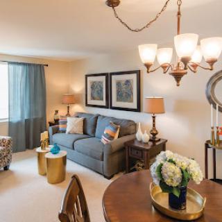 A cozy and elegantly designed living room with modern furniture and decorative elements.