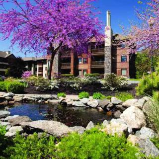 A scenic view of a garden with blooming trees and a pond beside a building.