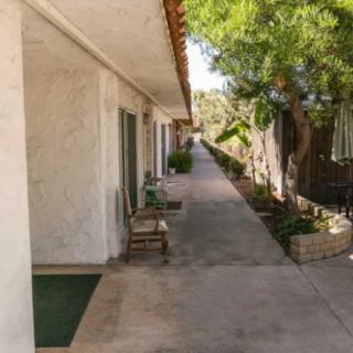 A quiet outdoor pathway next to a building, lined with trees and benches.