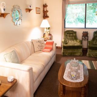 A cozy living room with vintage decor and a comfortable seating area.
