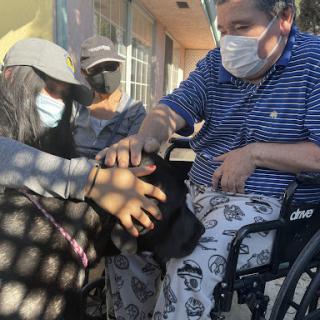A heartwarming moment as caregivers and a senior pet a dog together outside.