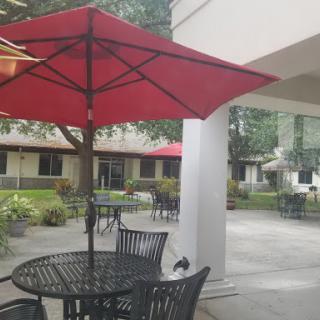 A serene outdoor cafe area featuring red umbrellas and black tables surrounded by greenery.