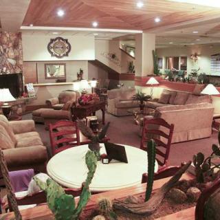 A cozy living room featuring comfortable sofas, chairs, a round table, decorative lamps, and indoor plants.