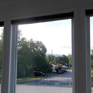 View through a window overlooking a road with trees and parked cars.