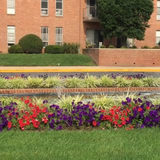 A vibrant flower garden in front of a brick building.