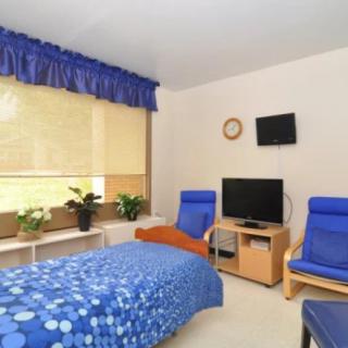 A modern bedroom with blue decor, featuring a bed, two chairs, a TV, and several plants by the window.