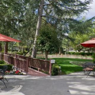An outdoor patio area with tables and chairs under umbrellas, surrounded by trees and a lush lawn.