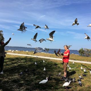 People feeding seagulls in a park by the water.