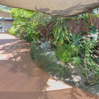 A shaded garden path surrounded by lush greenery.