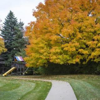 A playground surrounded by vibrant autumn trees with a winding pathway.