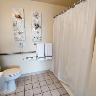 A clean and tidy bathroom with a shower curtain, toilet, and decorative wall art.