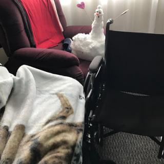 A goose sitting comfortably in a chair beside a wheelchair, with a cozy blanket draped nearby.