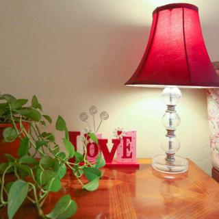 A cozy tabletop setup with a red lampshade, indoor plant, and decorative 'LOVE' sign.