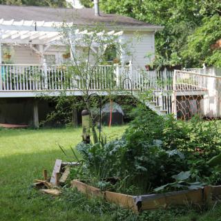A lush backyard garden with a wooden deck overlooking the greenery.