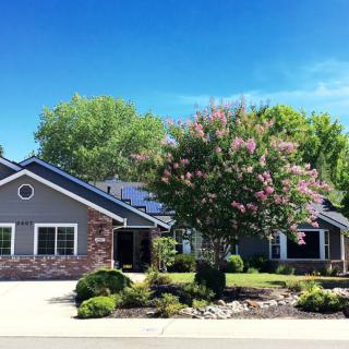 A residential house with solar panels on the roof, surrounded by landscaped gardens and a tree in the front yard.