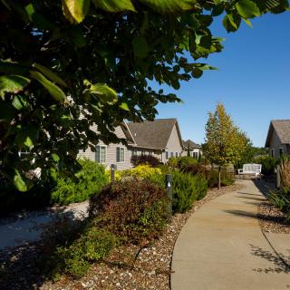 A sunny residential area with a house, driveway, and lush garden.