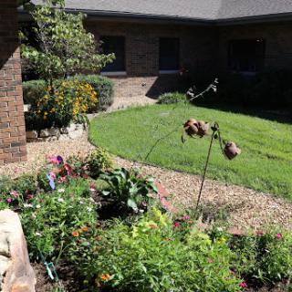 A beautiful garden filled with vibrant flowers and lush greenery in a residential area.