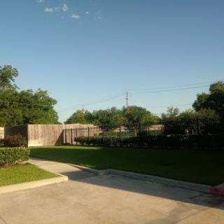 A peaceful outdoor scene featuring trees and a clear blue sky.