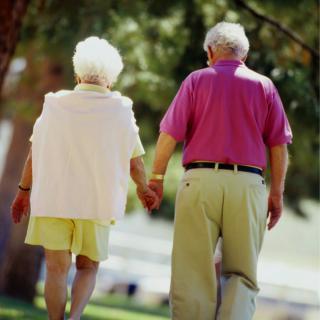 An elderly couple holding hands while walking in a park.