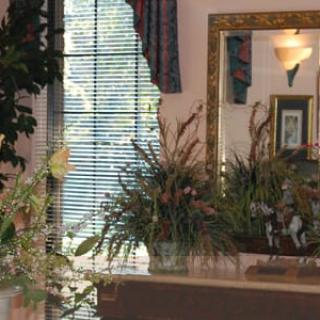 A cozy room interior featuring a large decorative mirror and lush green plants by the window with curtains.