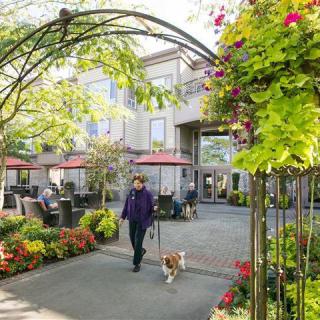 A person walking a dog through a beautifully landscaped garden courtyard with flowers and outdoor seating.