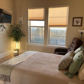 A cozy bedroom with natural light filtering through the windows, featuring a comfortable bed, plants, and soft decor elements.