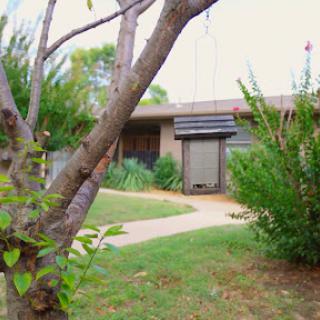 A charming view of a house surrounded by greenery, featuring a winding pathway and mature trees.