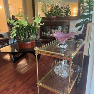 A cozy living room with elegant furniture and lush greenery.