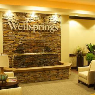 A welcoming lobby with a stone wall fountain, plush seating, and indoor plants at Wellsprings.