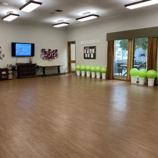 A spacious exercise room with wooden flooring, equipped with green stability balls and a television.