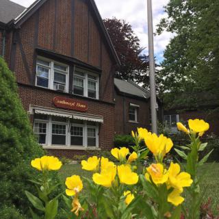 A quaint house surrounded by a garden of vibrant yellow flowers.