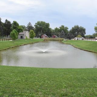 A serene pond with a fountain surrounded by lush green grass in a tranquil park setting.