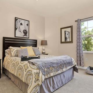 A cozy bedroom with stylish decor and dog-themed artwork.