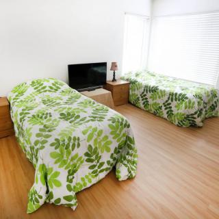 A bright bedroom with two twin beds featuring green bedding and a television on a wooden floor.